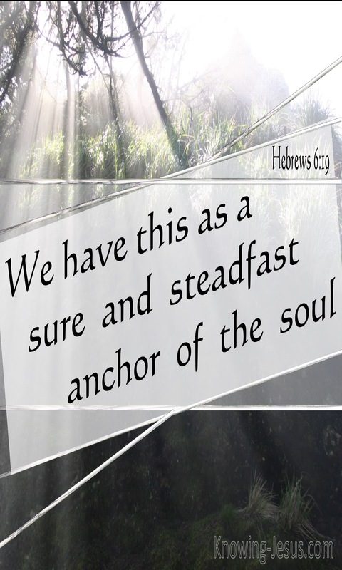 Hebrews 6:19 We Have A Sure And Steadfast Hope (black)